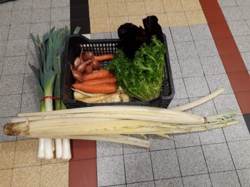 Amap du creux légumes panier